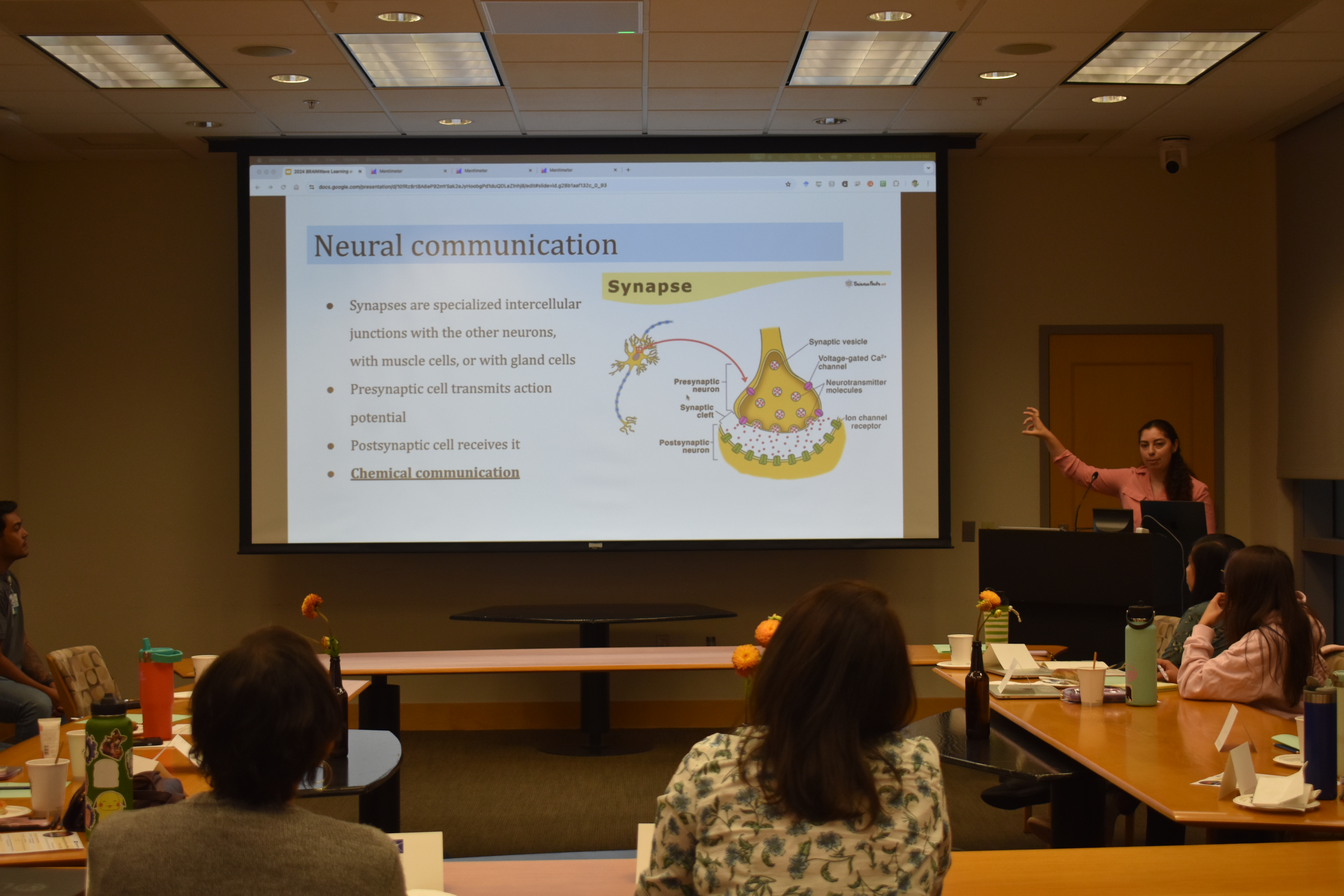 Educator presenting neural communication concepts