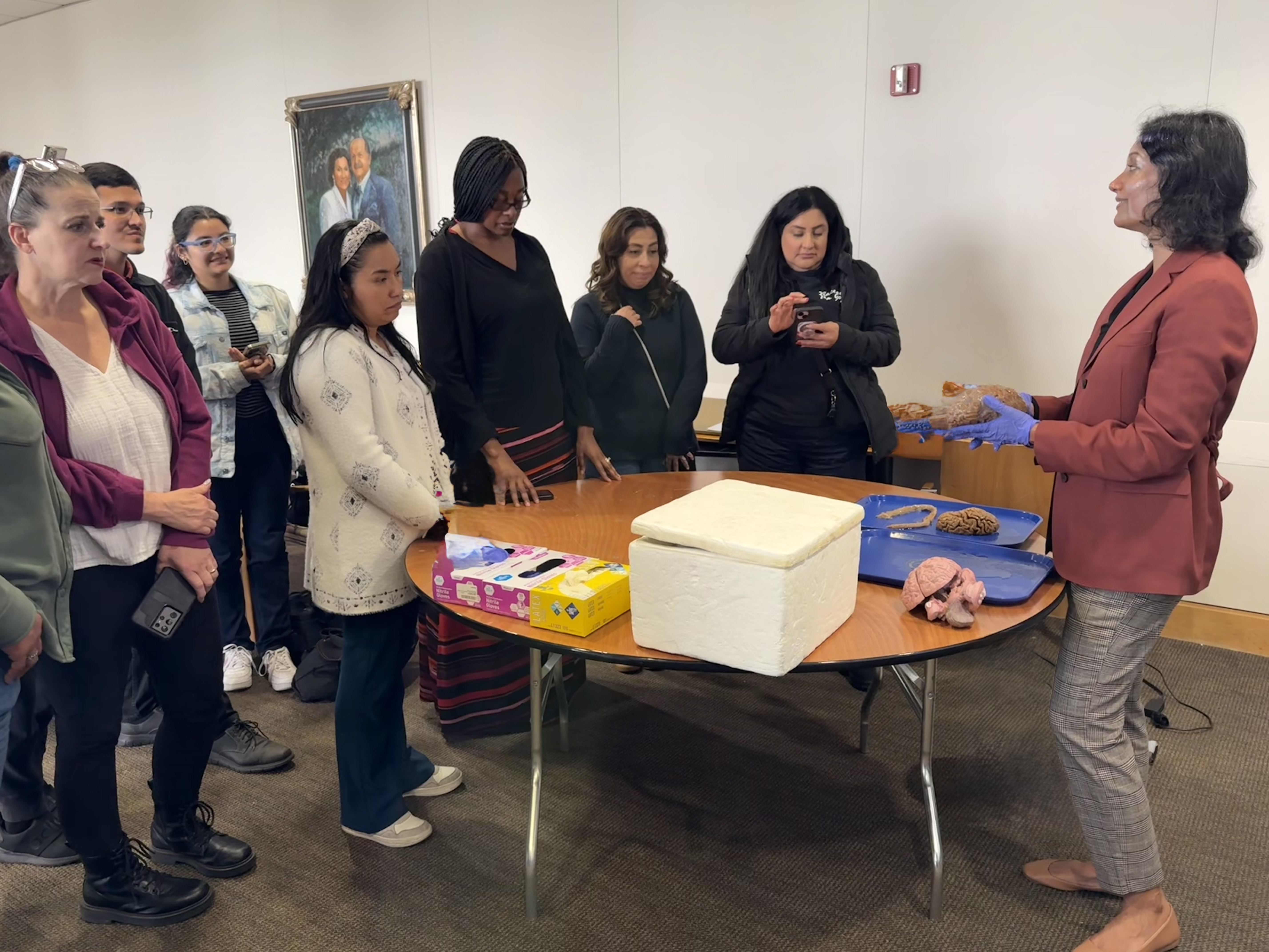 Teachers gathered around brain specimens at BRAINWAVE workshop
